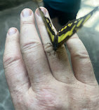 Tropical Butterfly House