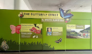 Tropical Butterfly House