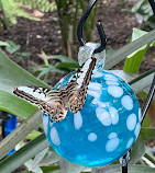 Tropical Butterfly House