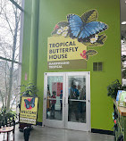 Tropical Butterfly House