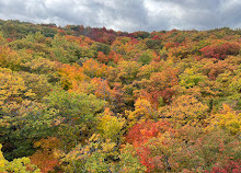 Scenic Caves Suspension Bridge