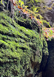 Scenic Caves Suspension Bridge