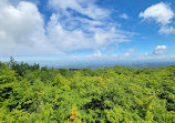 Scenic Caves Suspension Bridge