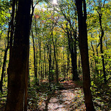 Scenic Caves Suspension Bridge