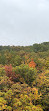 Scenic Caves Suspension Bridge