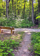 Meaford Memorialpark