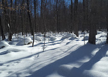 Meaford Memorial Park