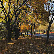 Azalea Garden