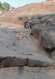 Kanheri Caves