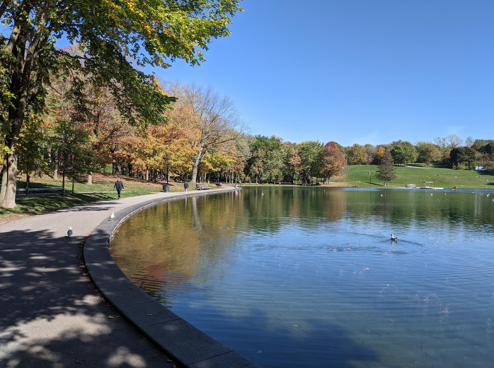 Mount Royal Park