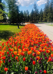 The Friends of the Botanical Garden of Montreal