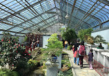 The Friends of the Botanical Garden of Montreal