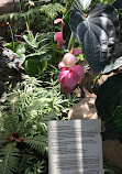 The Friends of the Botanical Garden of Montreal