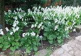 The Friends of the Botanical Garden of Montreal