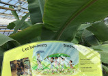 The Friends of the Botanical Garden of Montreal