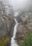 Sequoia National Forest