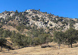 Sequoia National Forest