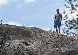 Sequoia National Forest