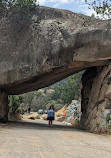 Sequoia National Forest