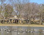 Towne Lake Park