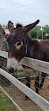 Heritage Farmstead Museum