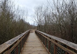 Auburn Environmental Park