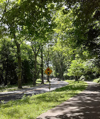 Parc forestier