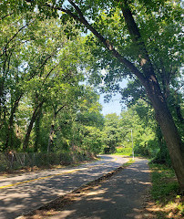 Parc forestier