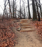 parque Forestal