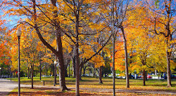 Constitution Gardens