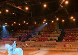 Medieval Times Dinner & Tournament