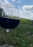 Burr Vineyards