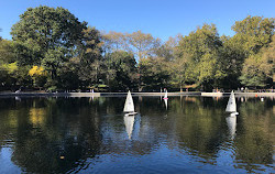 Agua del invernadero