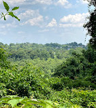 Potomac Tributary Waterfall