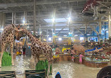 Kalahari Indoor Waterpark