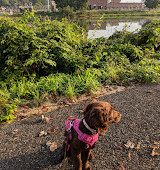 Four Mile Run Park