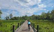 Mount Vernon Trail