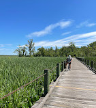 Mount Vernon Trail