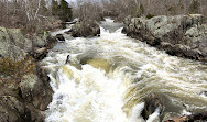 Olmsted Island Overlook