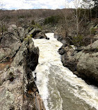 Olmsted Island Overlook