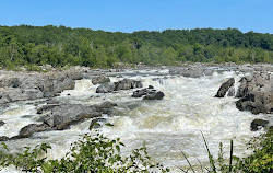 Olmsted Island Overlook