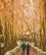 بوستان جمشیدیه