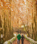 بوستان جمشیدیه