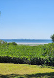 Safety Harbor Waterfront Park