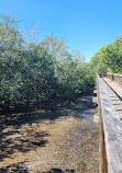 Safety Harbor Waterfront Park