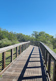 Safety Harbor Waterfront Park