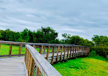 Safety Harbor Waterfront Park