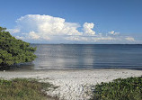 Safety Harbor Waterfront Park