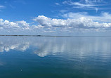 Safety Harbor Waterfront Park