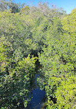 Safety Harbor Waterfront Park